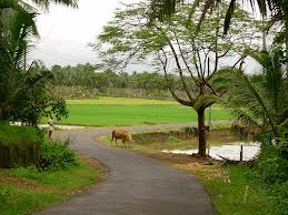 Malappuram Tour Packages