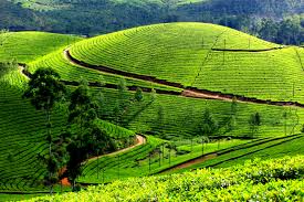 Kerala Tour Packages 