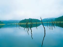 Thekkady Tour Packages