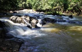 Kerala Tour Packages 