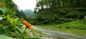 Uttarakhand Tour Packages 