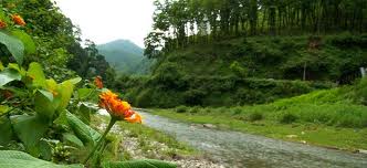 Uttarakhand Tour Packages 